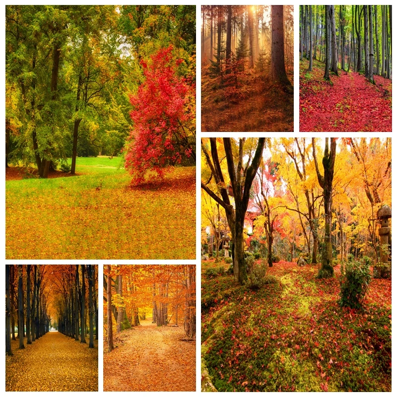 Photography Backdrop Autumn Old Tree Sunlight Scenic Photography Backgrounds Custom Photographic Backdrops For Photo Studio