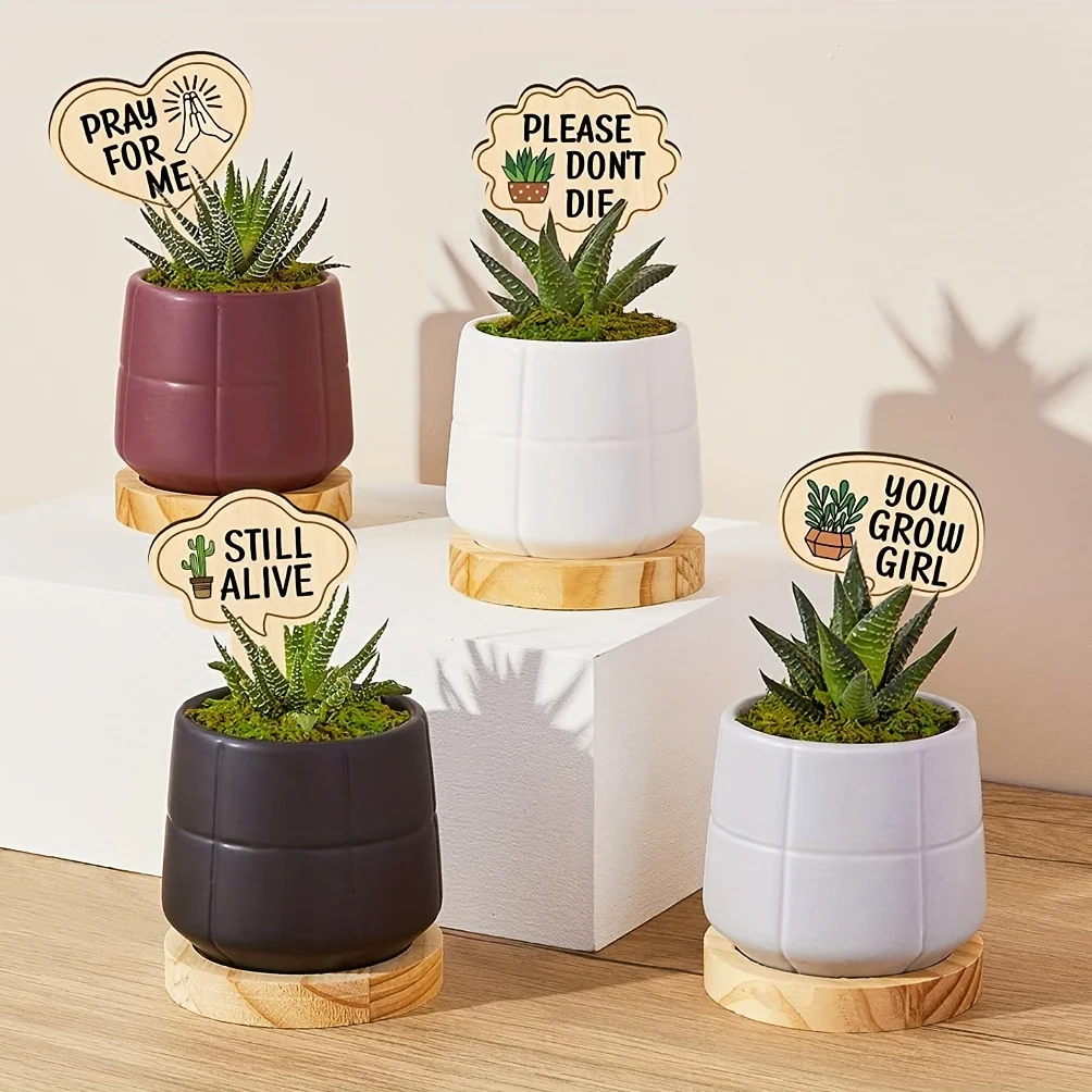 15-Pack Popular Wooden Plant Label Tags for Potted Plants Eco-Friendly Wood Plant Markers for Garden Care