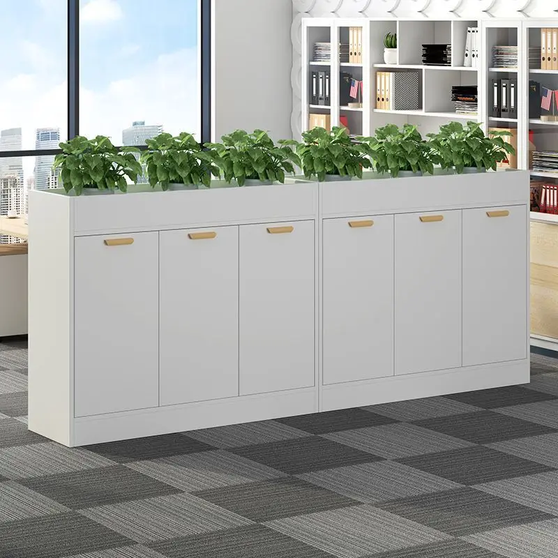 partition cabinet screen flower slot  file  data low  locker