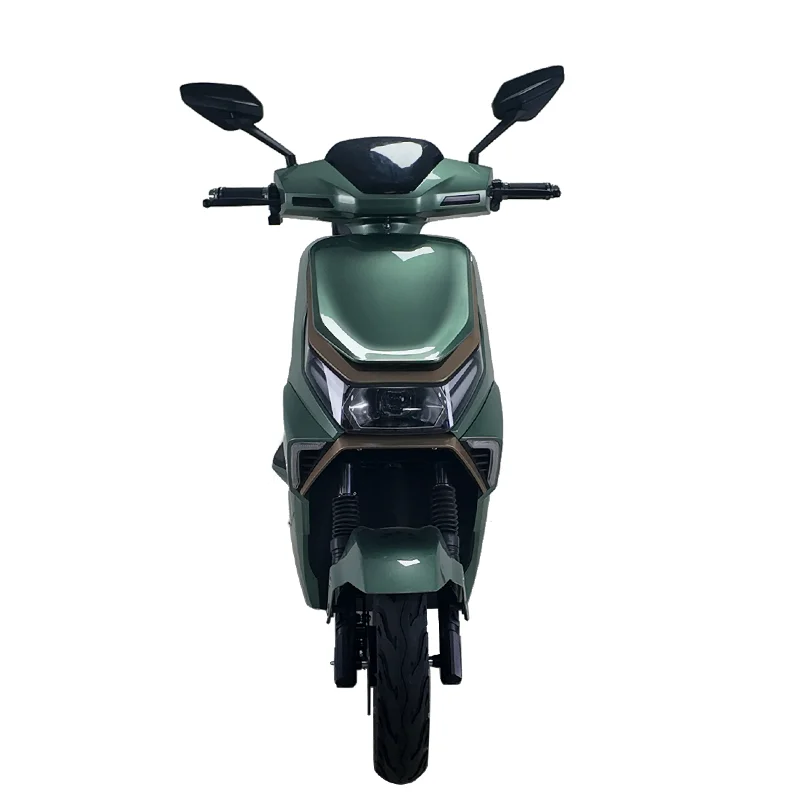 Top Selling Fast Shipment 1000W 45km/h Electric Bicycle  Electric Motorcycle image 2
