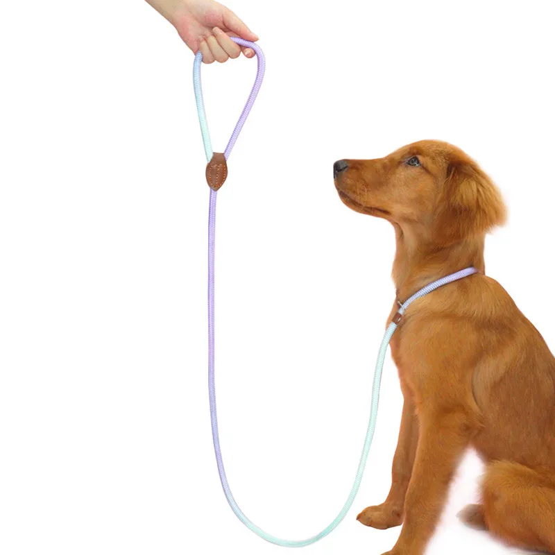 Dog Leashes Dog Slip Lead Dog Training Leash Strong Heavy Duty Braided No Pull Training Lead Leashes for Small Medium Large Dogs