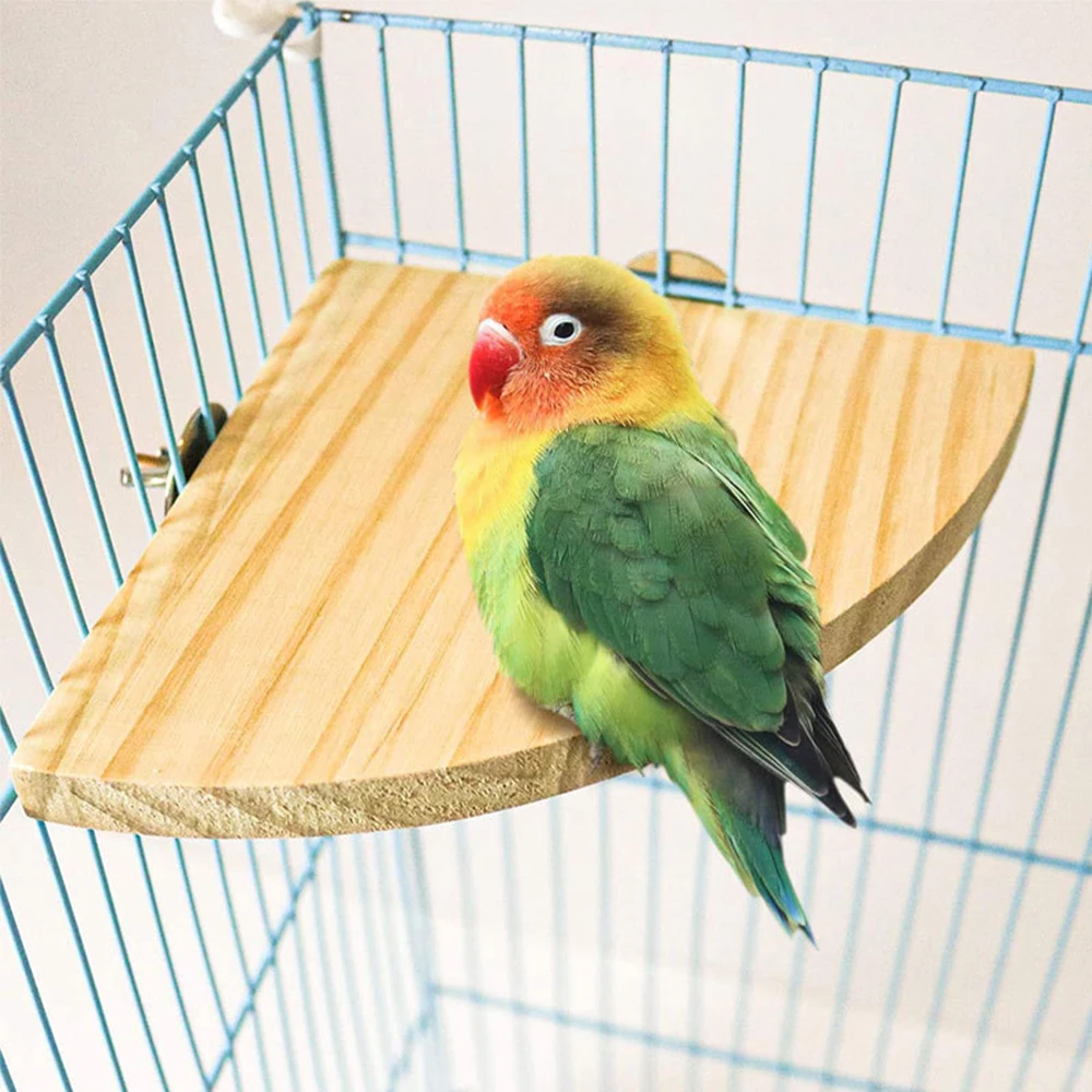 Fan-shaped Parrot Wooden Stand Rack Bird Cage Accessories Perch for Small Animal Chinchilla Squirrel Hamster Bird Stand Board