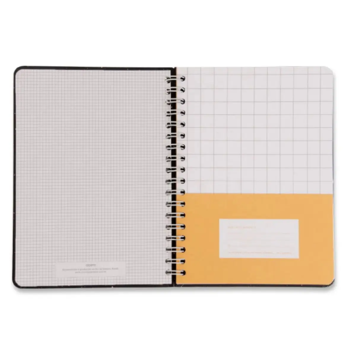 Collegiate Orla Pautado Cicero Notebook