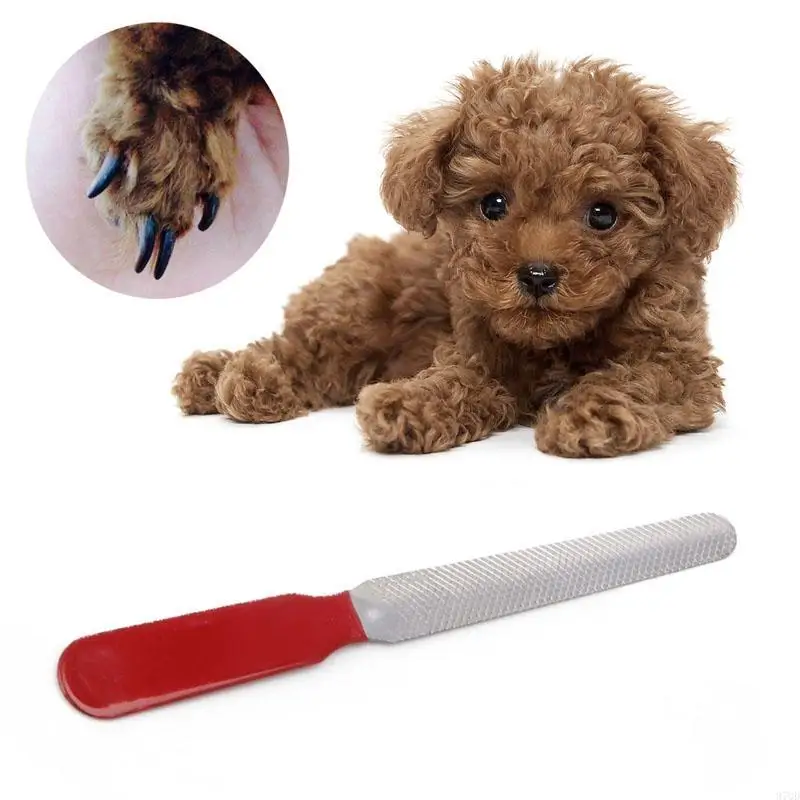 97QD PET الأظافر أداة تقليم المعادن ملف الأظافر مضاد للانزلاق للكلب للقط CLAW Shapi