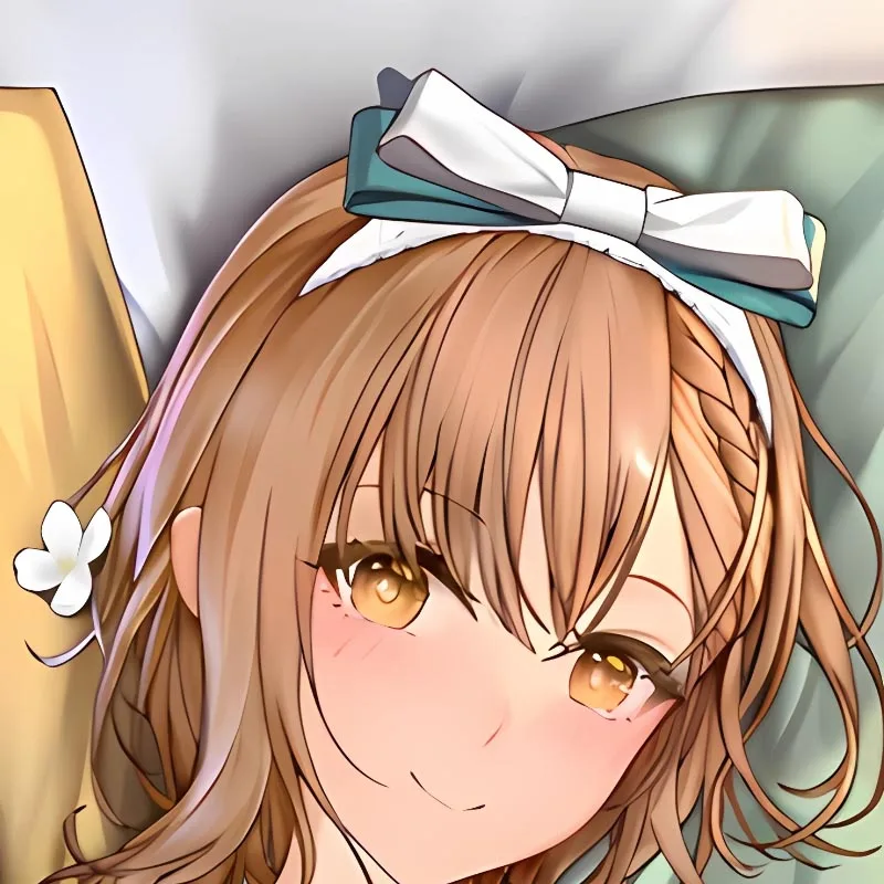 DIY Personalized Dakimakura Anime Reisalin Stout Pillowcase Double-sided Print Body Pillow Cover Case