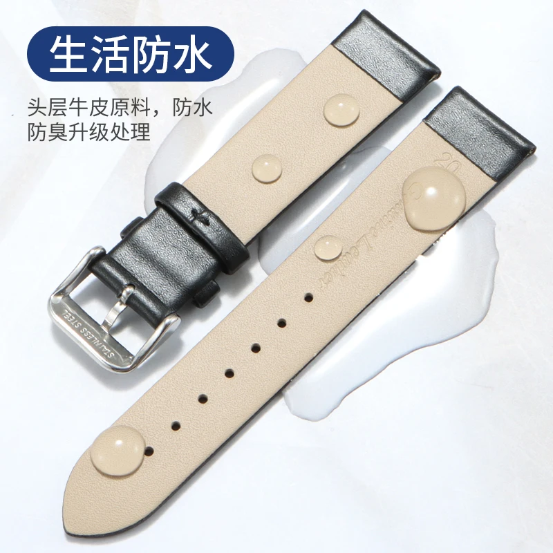 حزام جلدي عادي رفيع للغاية لملحقات سوار CK DW Swarovski للرجال والنساء 12mm14mm16mm20mm21mm22mm