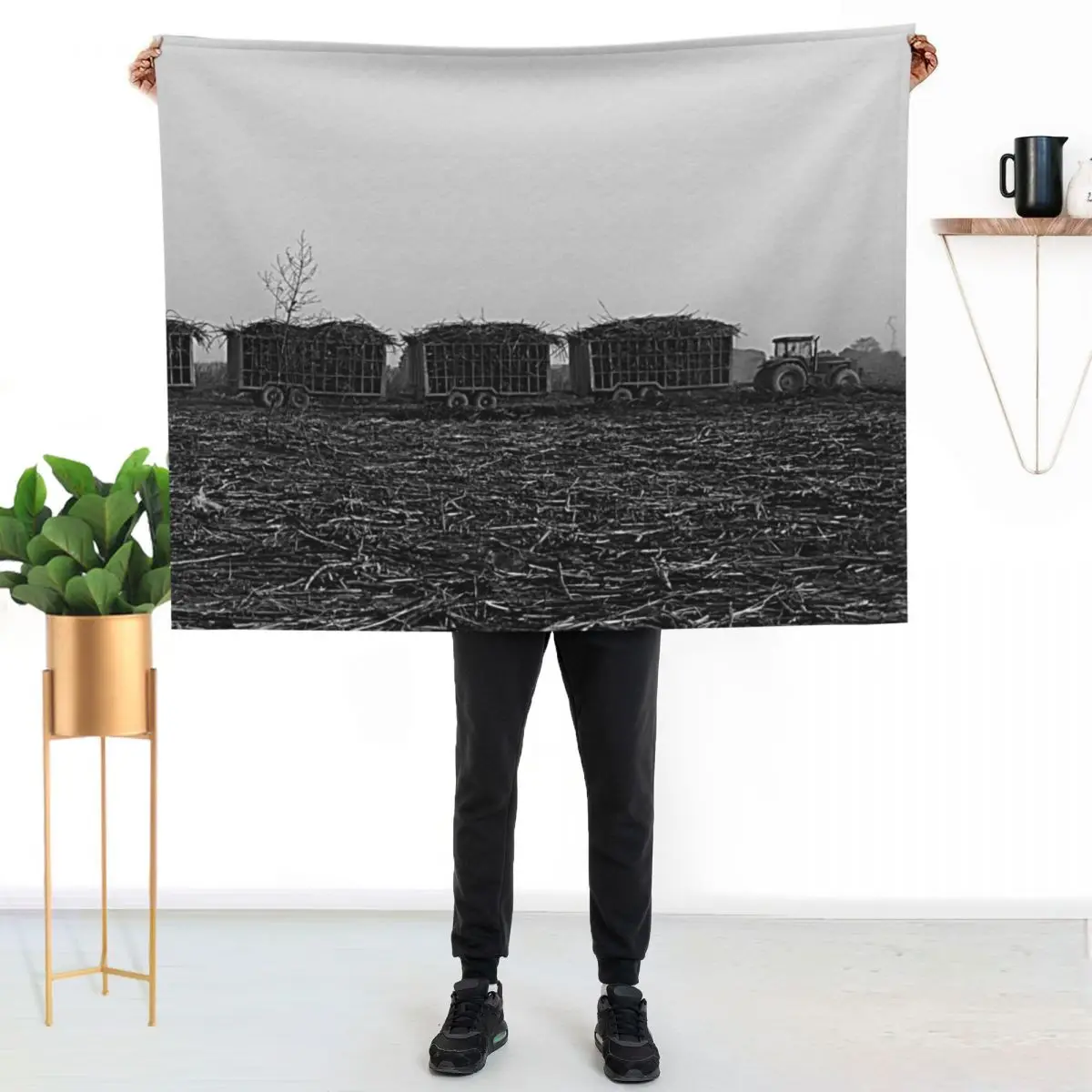 Sugar Cane Harvest, Harvested Field, Plantation, Panorama, Africa Throw Blanket Travel for babies Beautifuls Nap Blankets