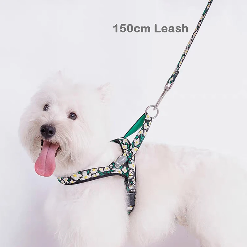

Adjustable Puppy Dog Chest and Back Vest for Small Breeds Dog Walking Leash With Traction Rope For Teddy Outdoor Supplies