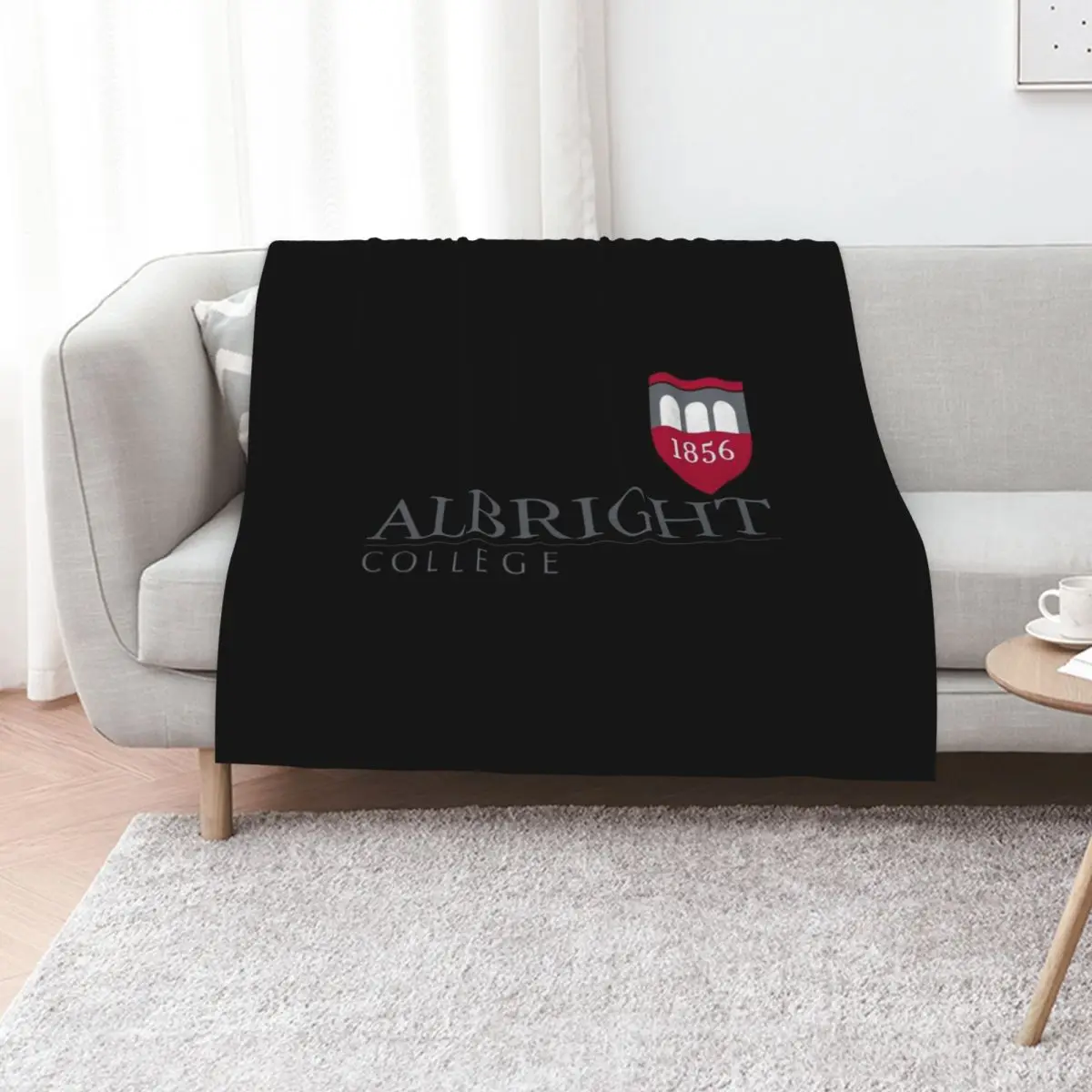 albright college Throw Blanket Beach Cute For Baby Plaid on the sofa Blankets