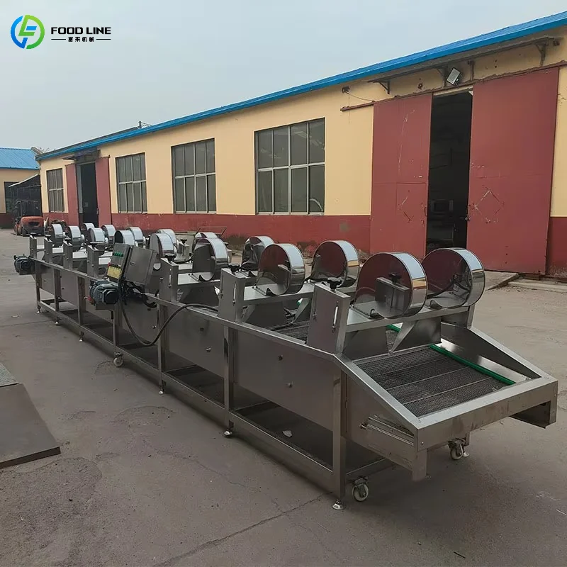 Customized Fruit and Vegetable Drying Conveyor Belt with Air Blower High-Efficiency Stainless Steel Equipment