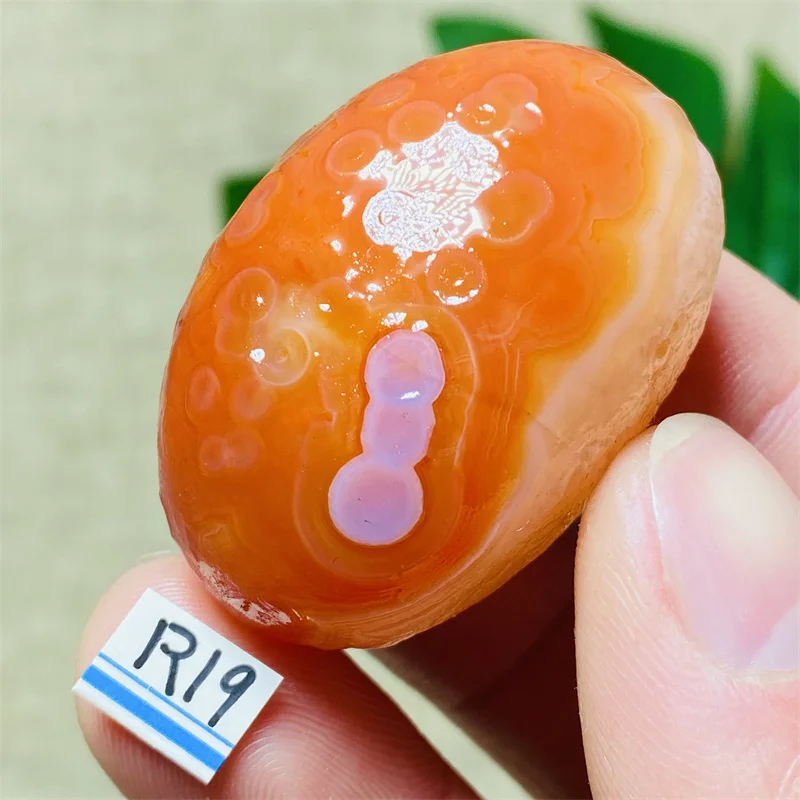 Natural Crystals Stone Raw Alxa Agate Mineral Specimen Rnergy Piedras Healing Aquarium Room Decor