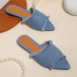 Low Big Size Female Shoes Ladies' Slippers Rubber Flip Flops Pointed Toe  Slides Fringe 2024 Hawaiian Designer Denim Flat