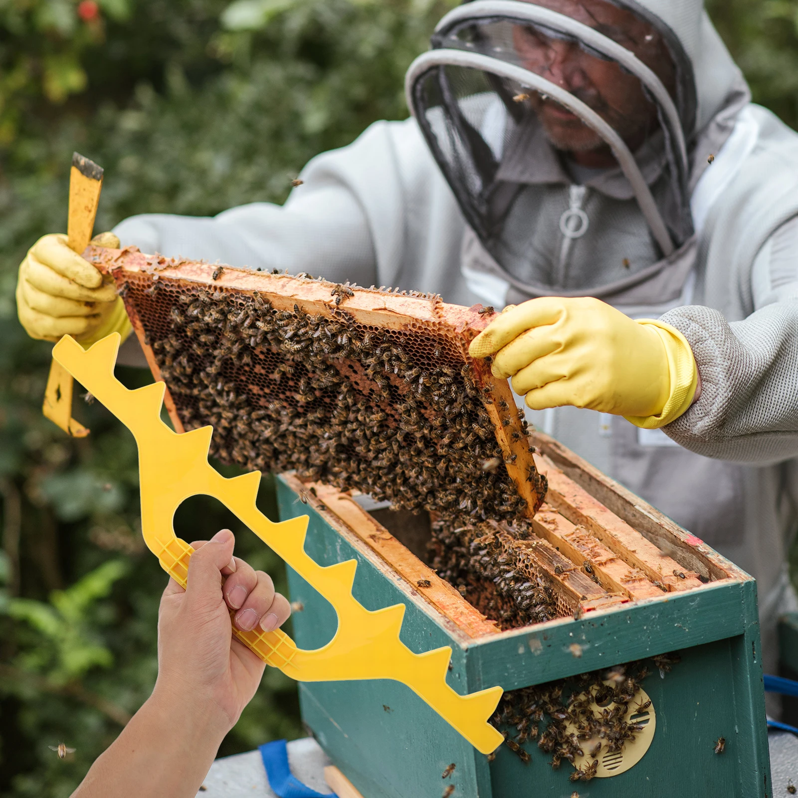 

Beehive Nest Frame Tools Reusable Plastic Frames for Beekeepers Hive Spacing Measurement Efficient Beekeeping Supplies