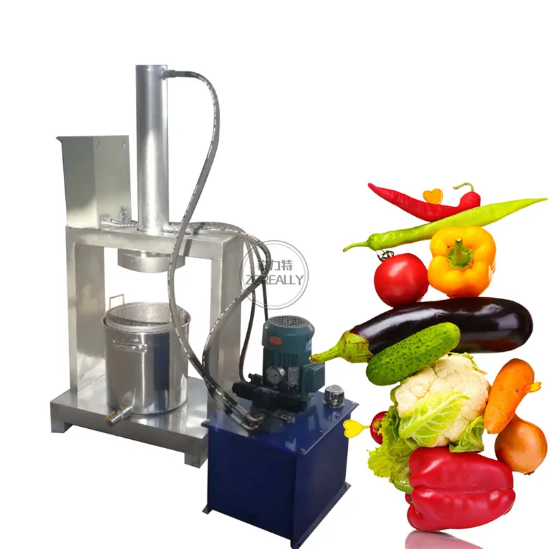 Commercial Grape Fruit and Vegetable Hydraulic Cold Press Juicer Machine Orange Extractor Stainless Steel Automatic