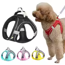 Summer Mesh Harness Vest and Leash Set for Small Dogs