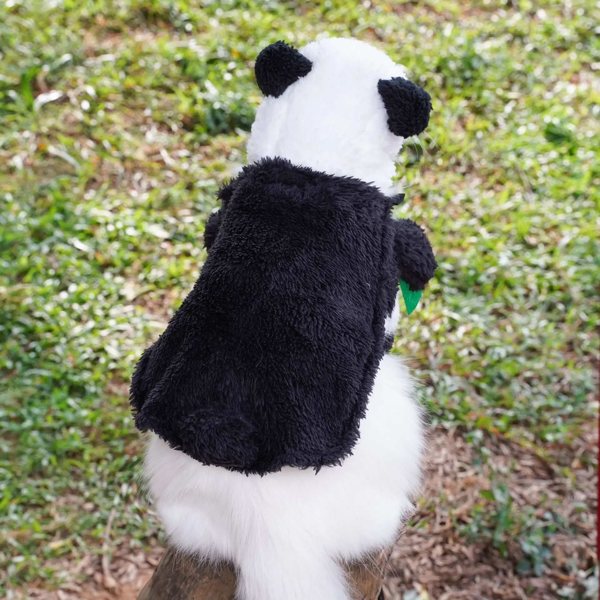 Cute Panda Pet Cat Costume With Hat Warm Pet Clothes for Small Dogs and Cats Coat Jacket Puppy Funny Cat Clothes