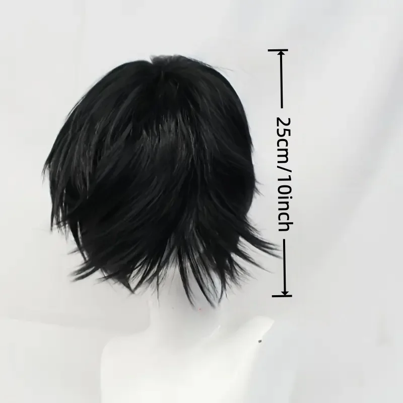 Men's Short Synthetic Straight and Fluffy Wig, Heat-Resistant, Birthdays, Heat-Resistant Fiber, Role-Playing