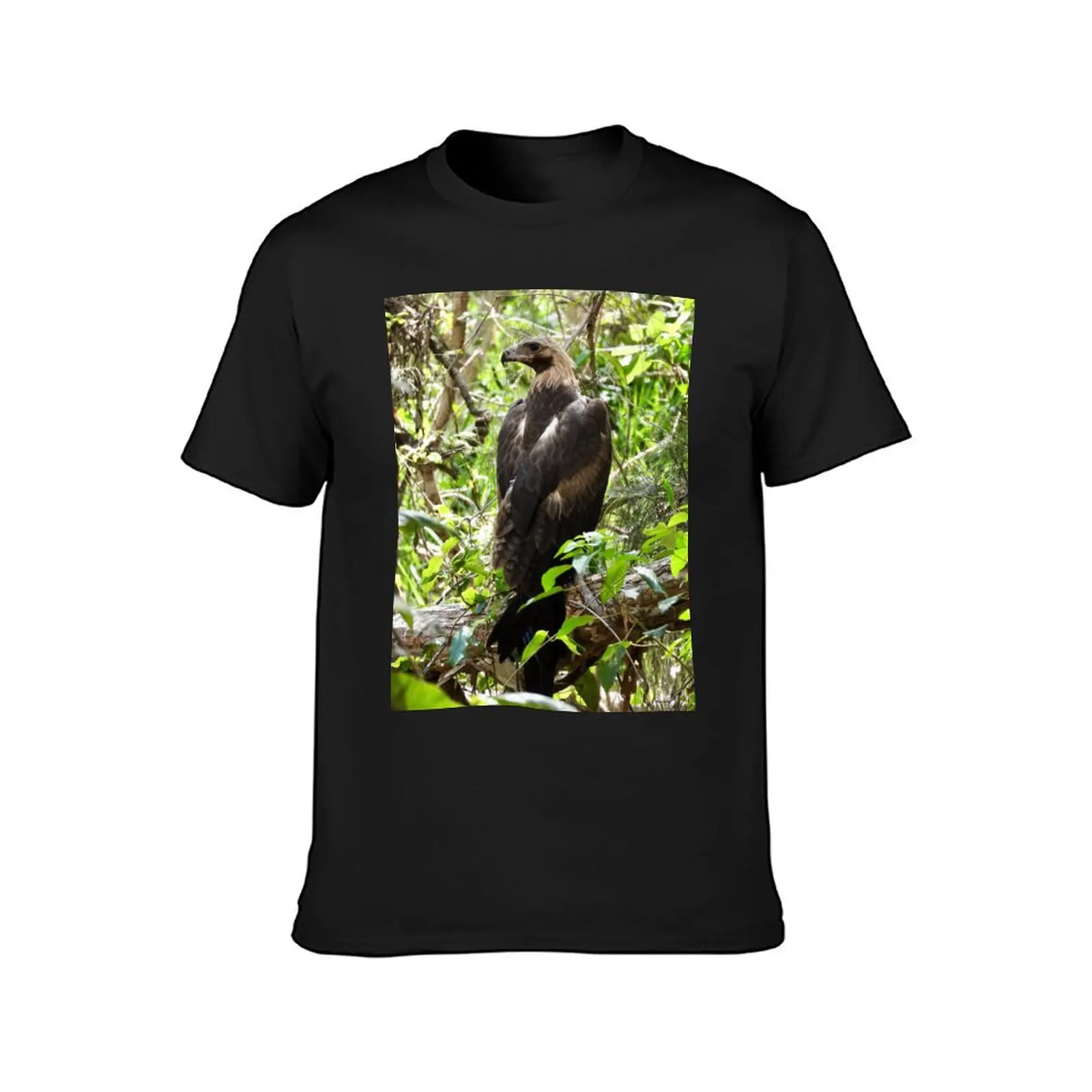 Wedge-tail Eagle Arkarra Lagoons T-Shirt graphics oversizeds anime t shirts for men pack