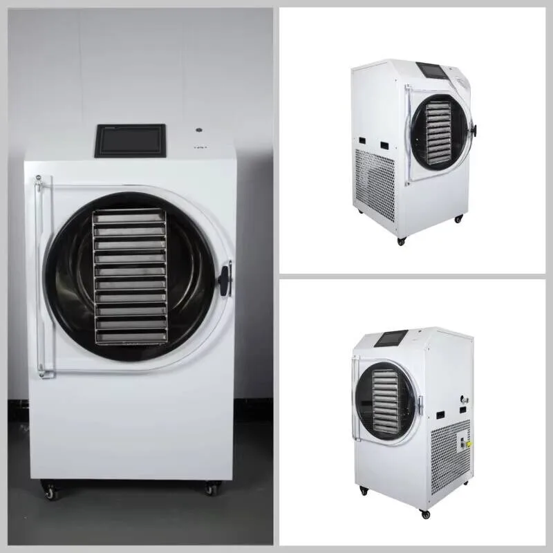 

2kg-50kg Dried Strawberry Coffee Equipment Vacuum Freeze Dryer For Sale Industrial