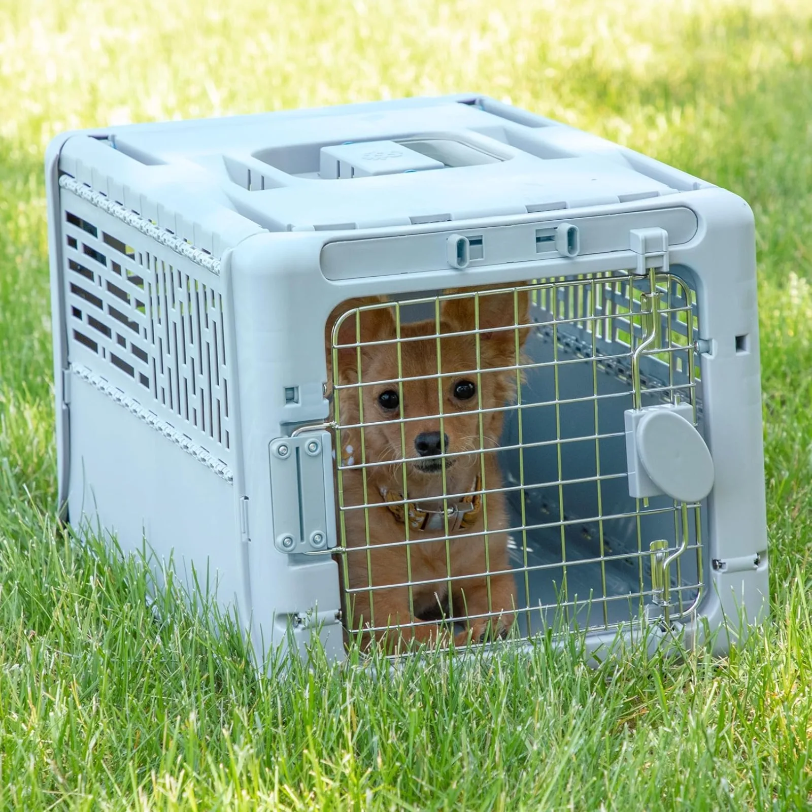 US  X-Small Collapsible Pet Kennel - 19