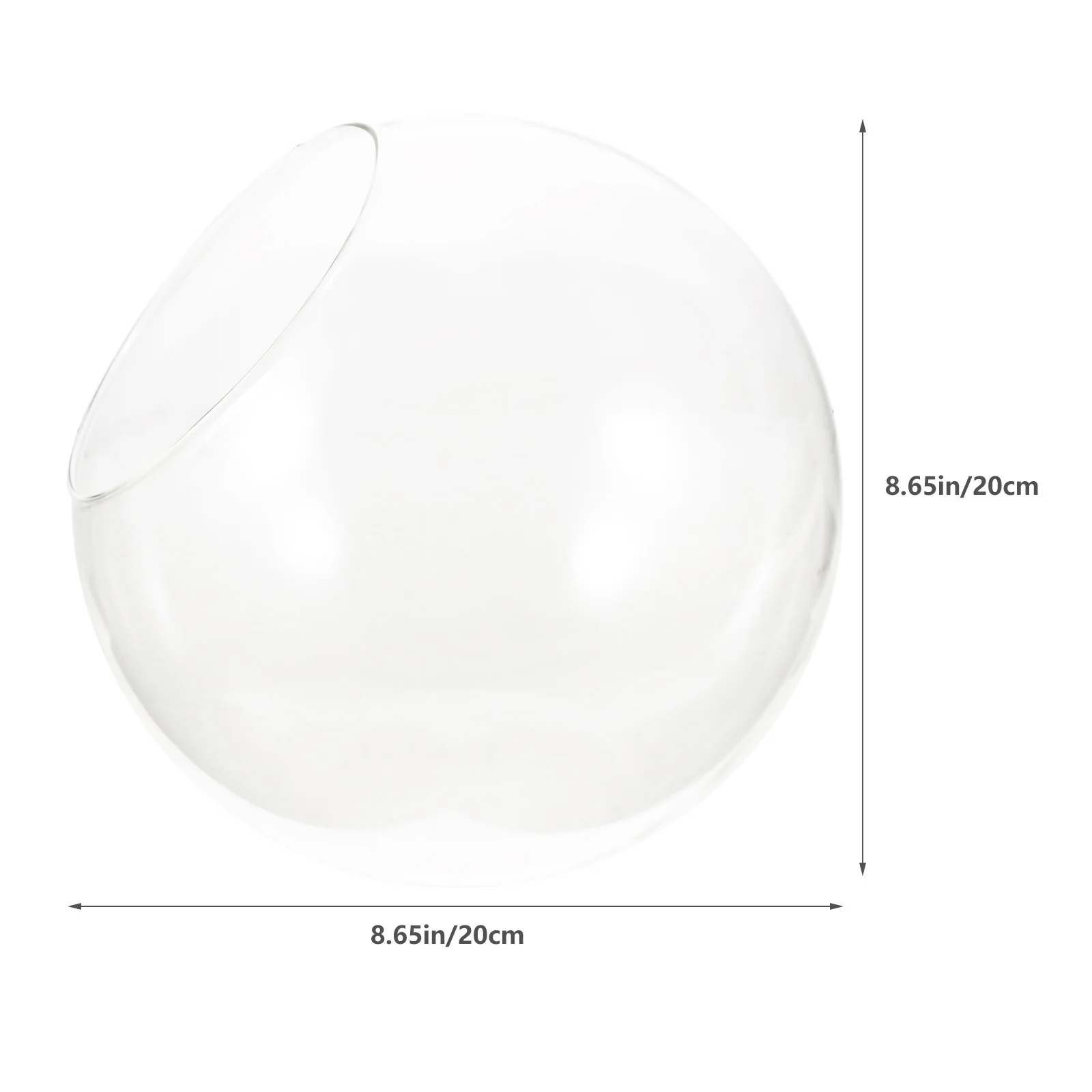 زجاجة طحالب زجاجية صديقة للبيئة، حاوية زجاجية متينة مقاومة للسقوط، حاوية زجاجية للمناظر الطبيعية الصغيرة #4