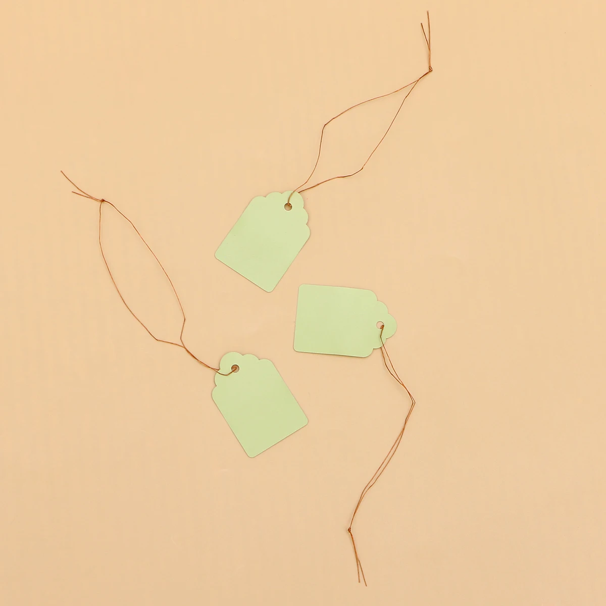 

500pc Plastic Label Tags Double Wired Blank DIY Tags for Shipping Message Bookmark Labels with Strong Welded Patch Strung