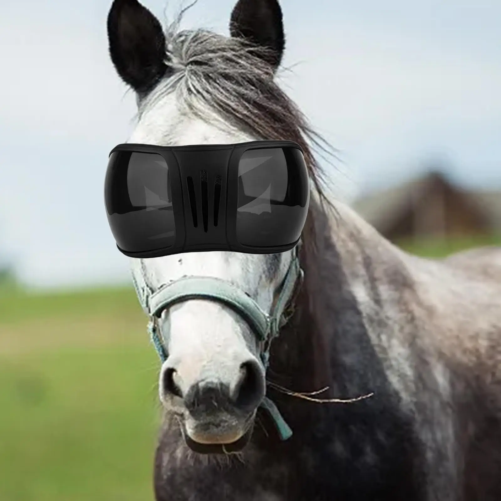 Horse Riding Goggles Colorful Protective Eyewear Windproof Dustproof UV Protections Equestrian Sports Activities Sand