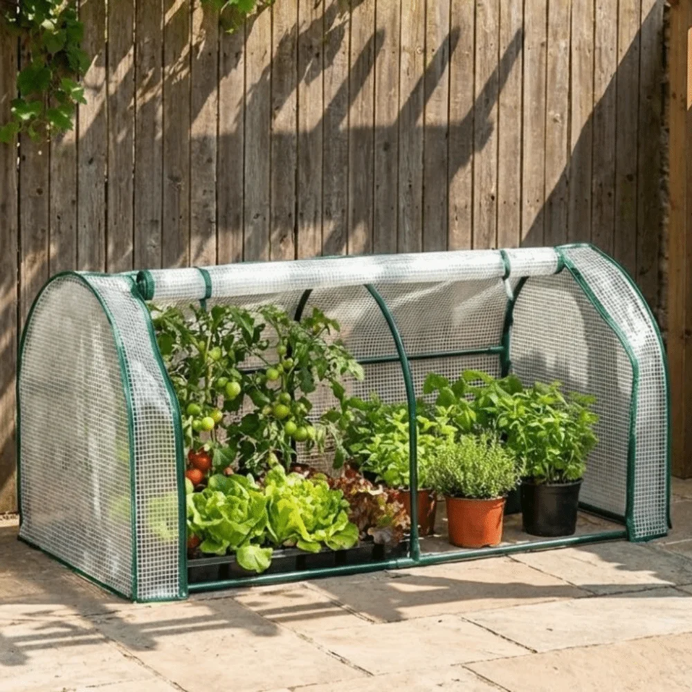 Transparent Mini Plant Greenhouse Plastic Waterproof Plant Grow Tent Bird-proof Efficient Protect Plant Protection Cover
