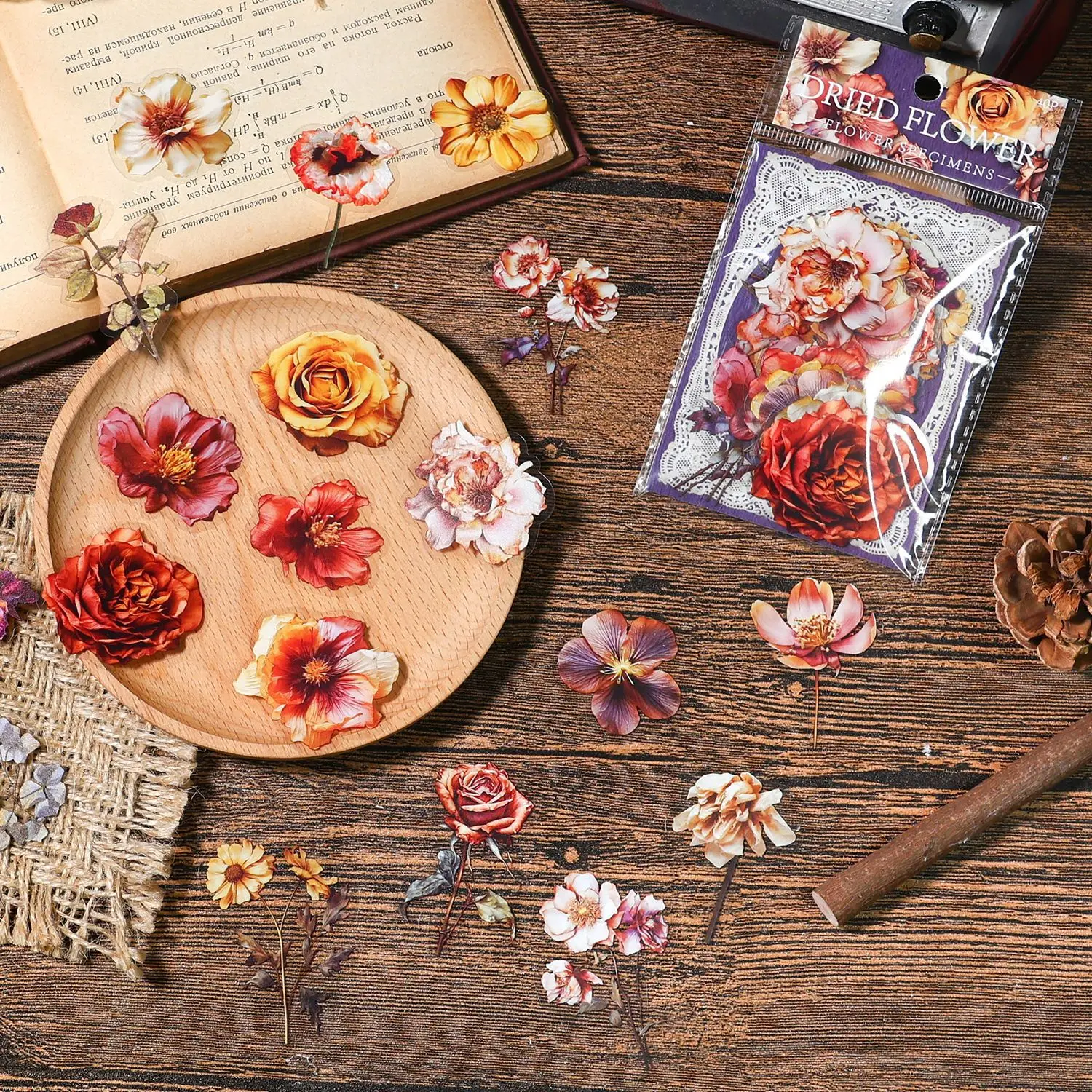 Pressed Flower Specimen Series PET Stickers, Vintage Plant Floral Journal Decor DIY Craft Supplies, 40 Pcs/Pack