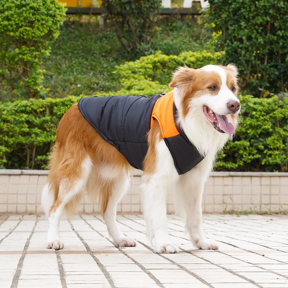 Roupas de inverno para cães, colete acolchoado para cães pequenos e grandes, roupas para caminhada ao ar livre, golden retriever, roupas para animais de estimação, acessórios para cães
