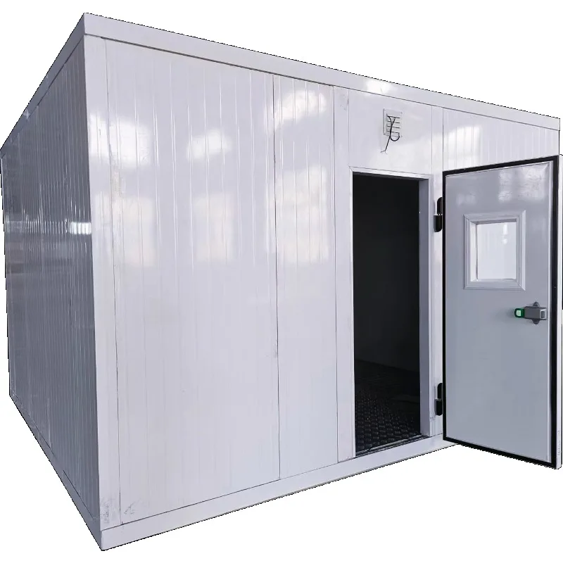 Refrigerador de caminhada móvel