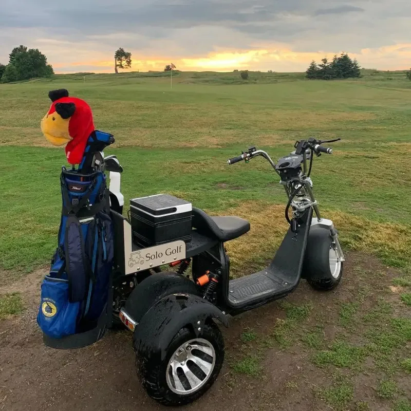 Australia Market Hot Sale Factory Direct Di Sleek And Sturdy 2 Seater Golf Kart Electric Motor Golf Carts Golf Sc