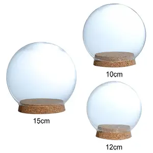 Kubah Kaca Dekoratif Bening Vas Pelestarian Bunga Cloche Bell Jar dengan Ornamen Tanaman Dasar Kayu Miniatur Rumah Boneka 12cm 6 kubah glas penjualan terbaik - №