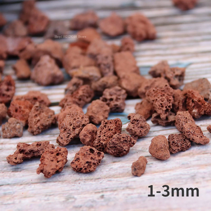 NONE 500g/1000g Rot Vulkangestein Sukkulente Pflanzung Bettwäsche Granulat Aquarium Wasser Reinigung Materialien Gartenarbeit Liefert 8