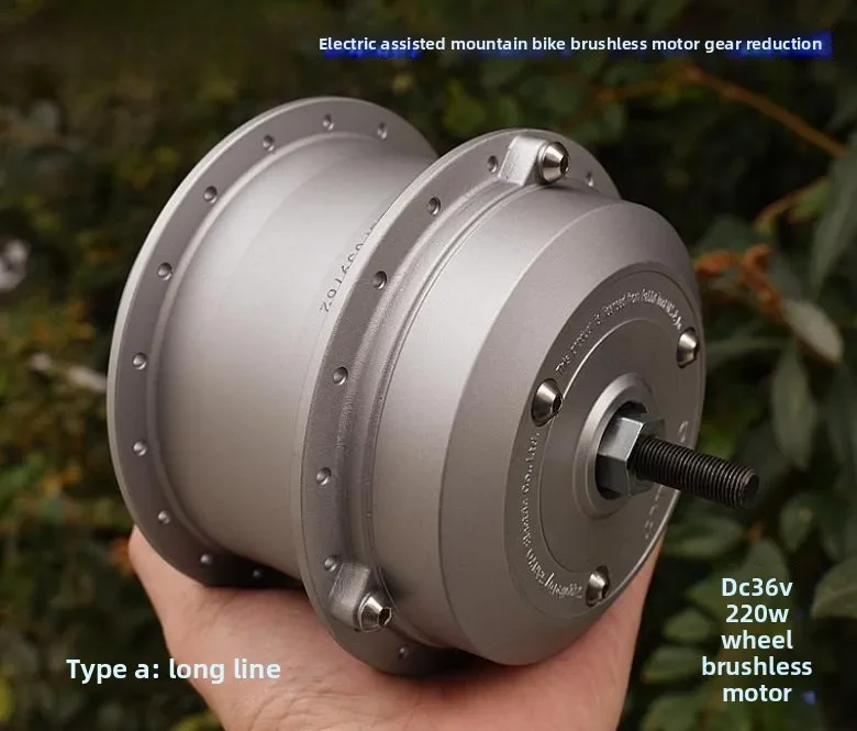 Electric Assist, Mountain Bike, Brushless Wheel Motor, One-way Clutch, Gear Reduction