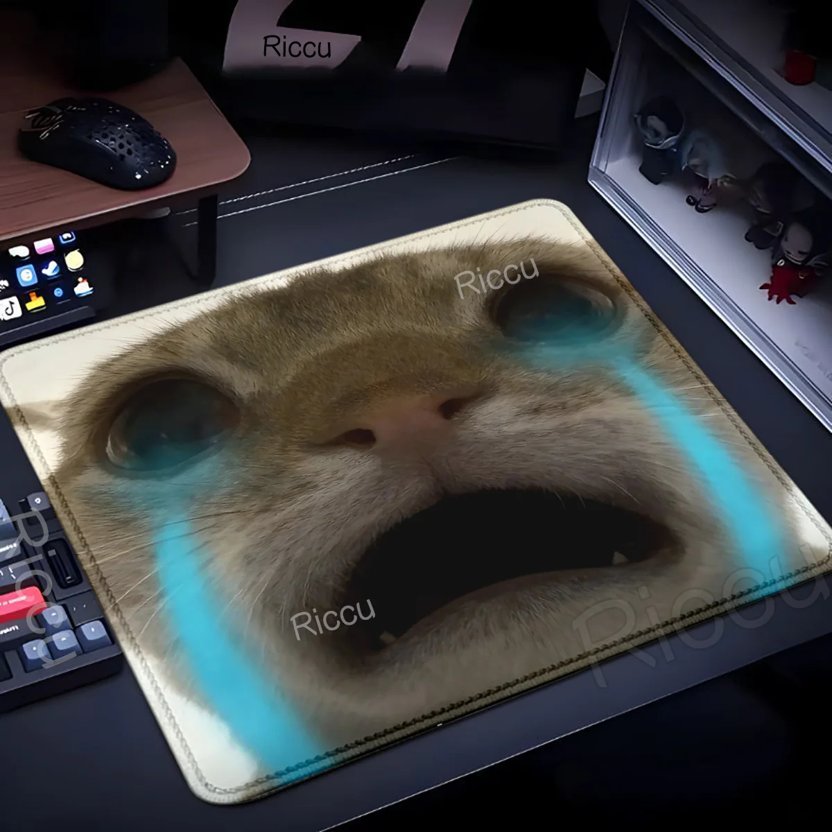 Cat meme Small Mouse Pad Gaming Laptops Mousepad Gamer Carpet Keyboard Desk Mat Protector Mats Anime Cartoon Cup protection pad