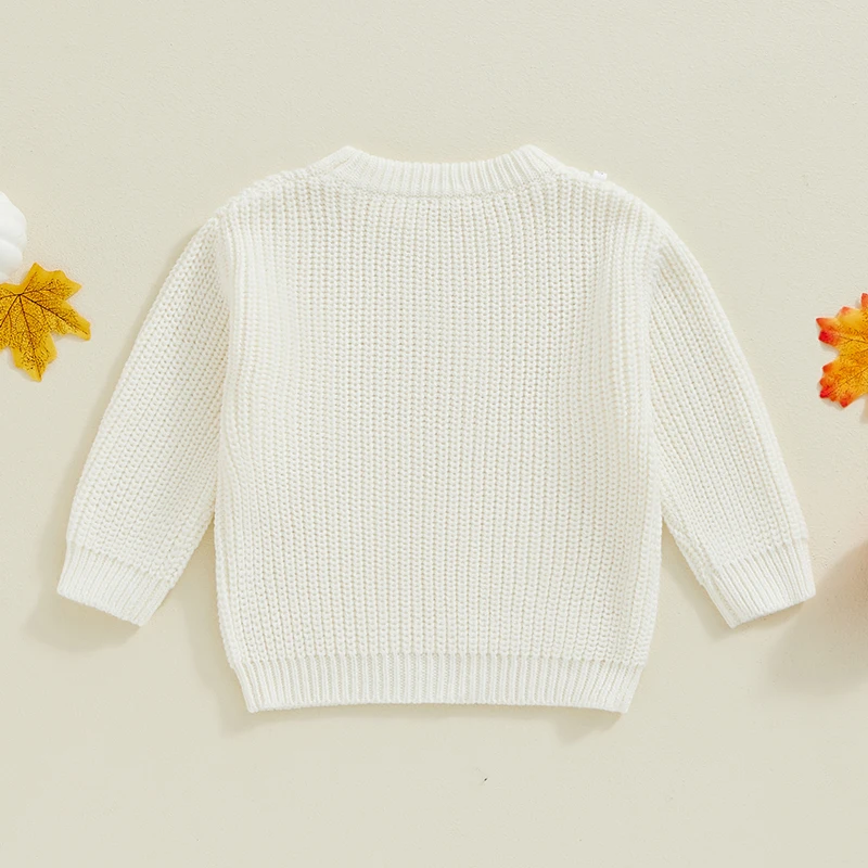 Suefunskry Toddler Girls Boys Sweater Halloween Clothes Pumpkin Embroidery Crew Neck Long Sleeve Kids Pullovers Fall Winter Tops