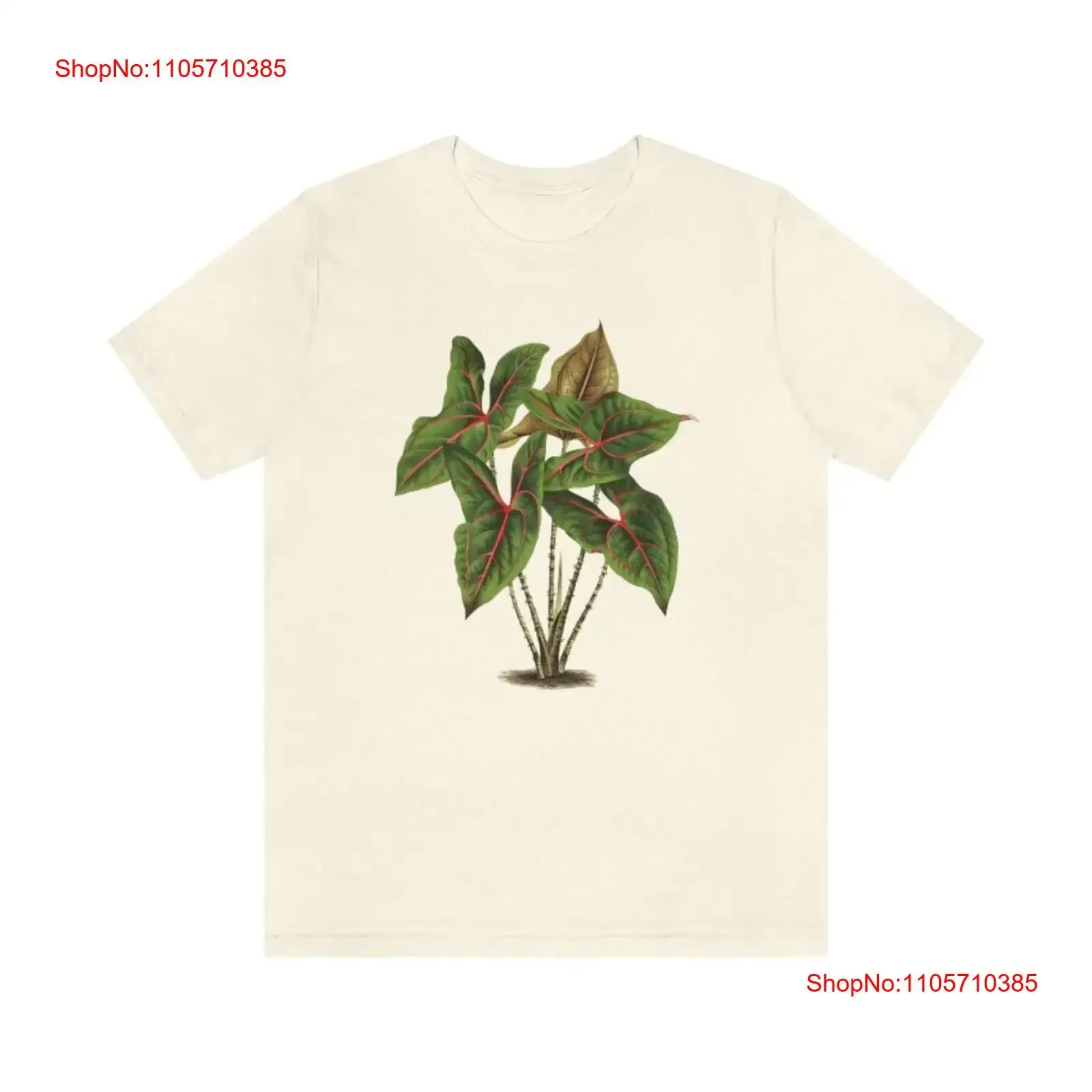 Cyrtosperma Johnstonii Alocasia Vintage Illustration Print Crewneck T Shirt House Plant Botanical Jersey vintage Washed Casual
