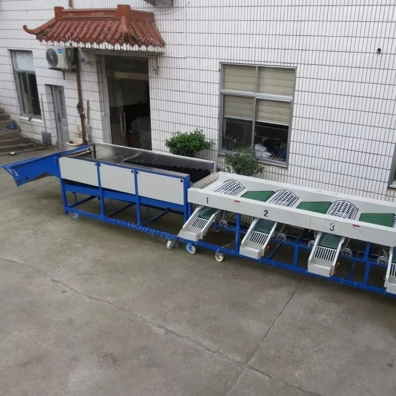 Full Automatic Garlic Washing Sorting Line Commercial Garlic Cleaning and Size Grading Equipment Customized