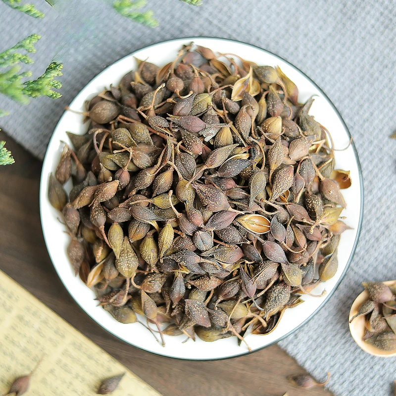 Forsythia Grains
