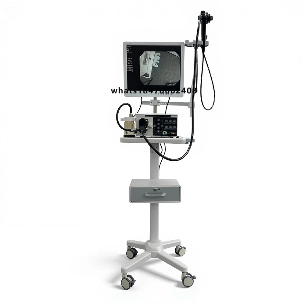 Vetoo small animal veterinary bronchoscope flexible endoscope high definition LED lighting metal three types of equipmen