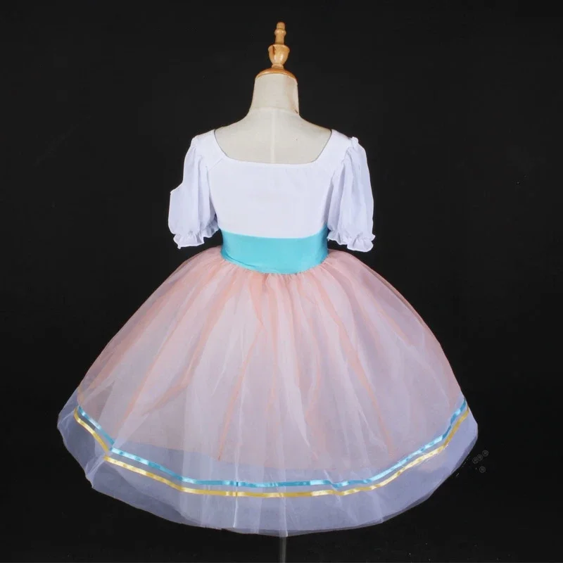Meninas adulto ballet tutu bordado vestido de princesa crianças feminino desempenho palco dança traje aniversário carnaval vestidos