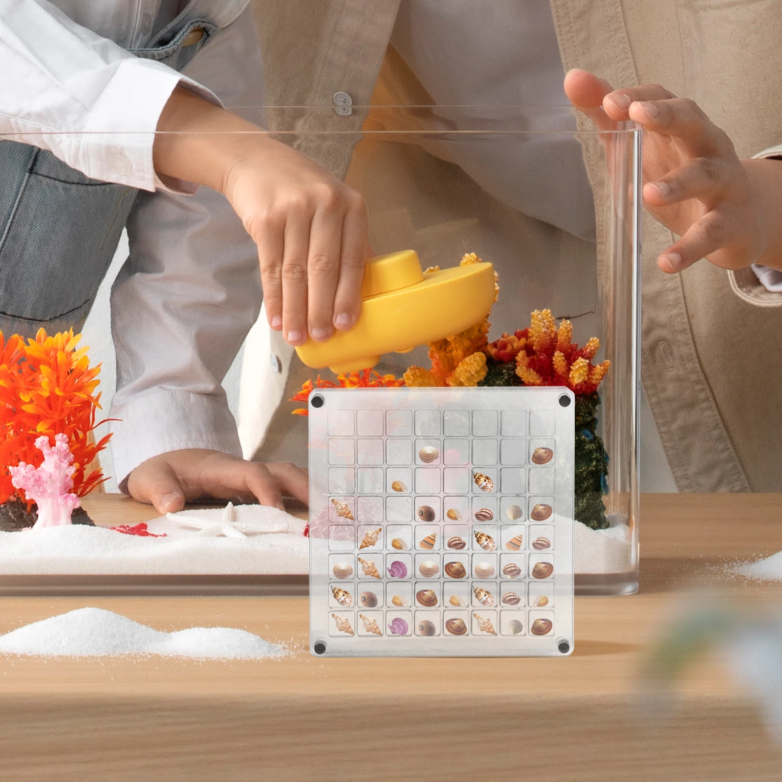 

Clear Boxes Shell Storage Shells Room Decor Acrylic Seashell Display Frame Multi-grids Seaside Seashells