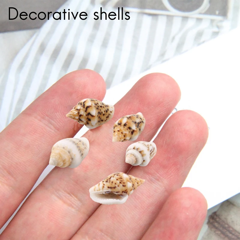 About 1300-1500 Tiny Sea Shell Ocean Beach Spiral Seashells Craft Charms 7-12Mm For Candle Making,Home Decoration,Beach Theme Pa