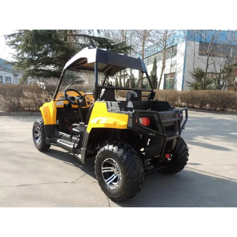 【Best-selling】Factory Price 15KW Electric LQ UTV With 2 Seats For Adults
