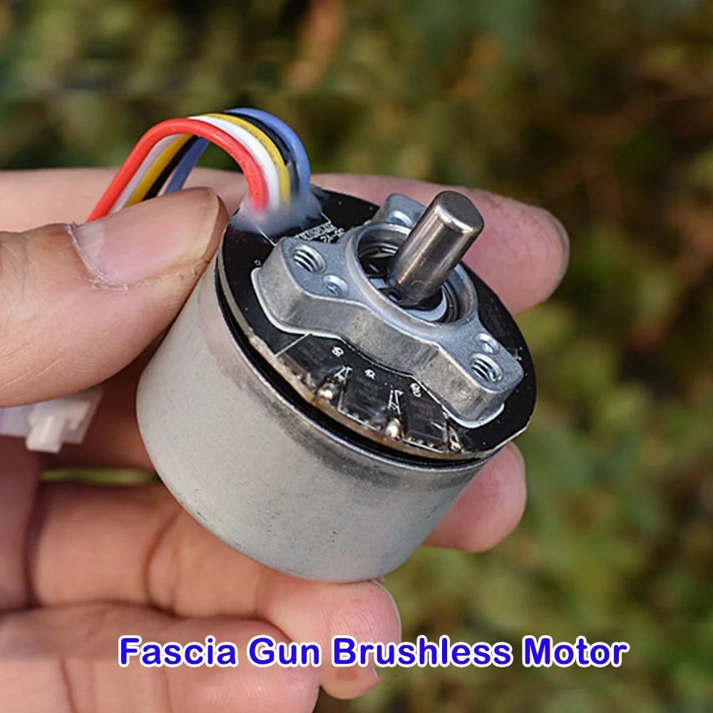 TY3816B Mini 38mm Massage Fascia Gun Brushless Motor DC 12V 4200RPM  Large Torque Reversible PWM Signal Adjust Speed Regulation