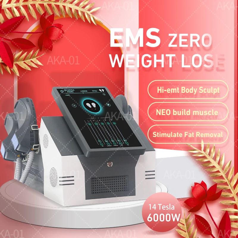 

DLS-EMSlim New Machine 6000W 14 Tesla EMS Body Sculpt Equipped with 4 R/F handles EMSzero For salon use