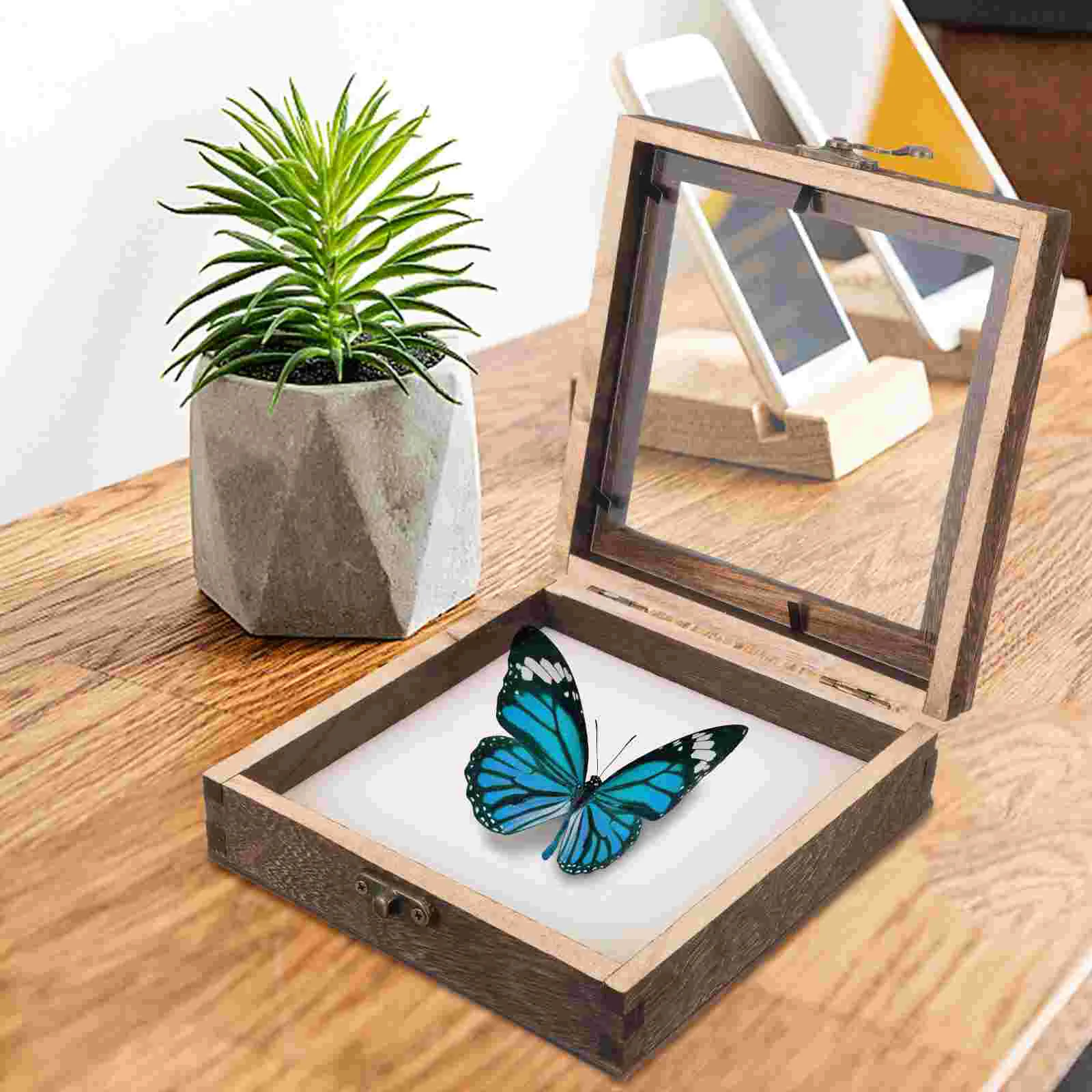 Glass Insect Specimen Box Showcase Storage Plant Display Cases Dried Flower Butterflies Wooden