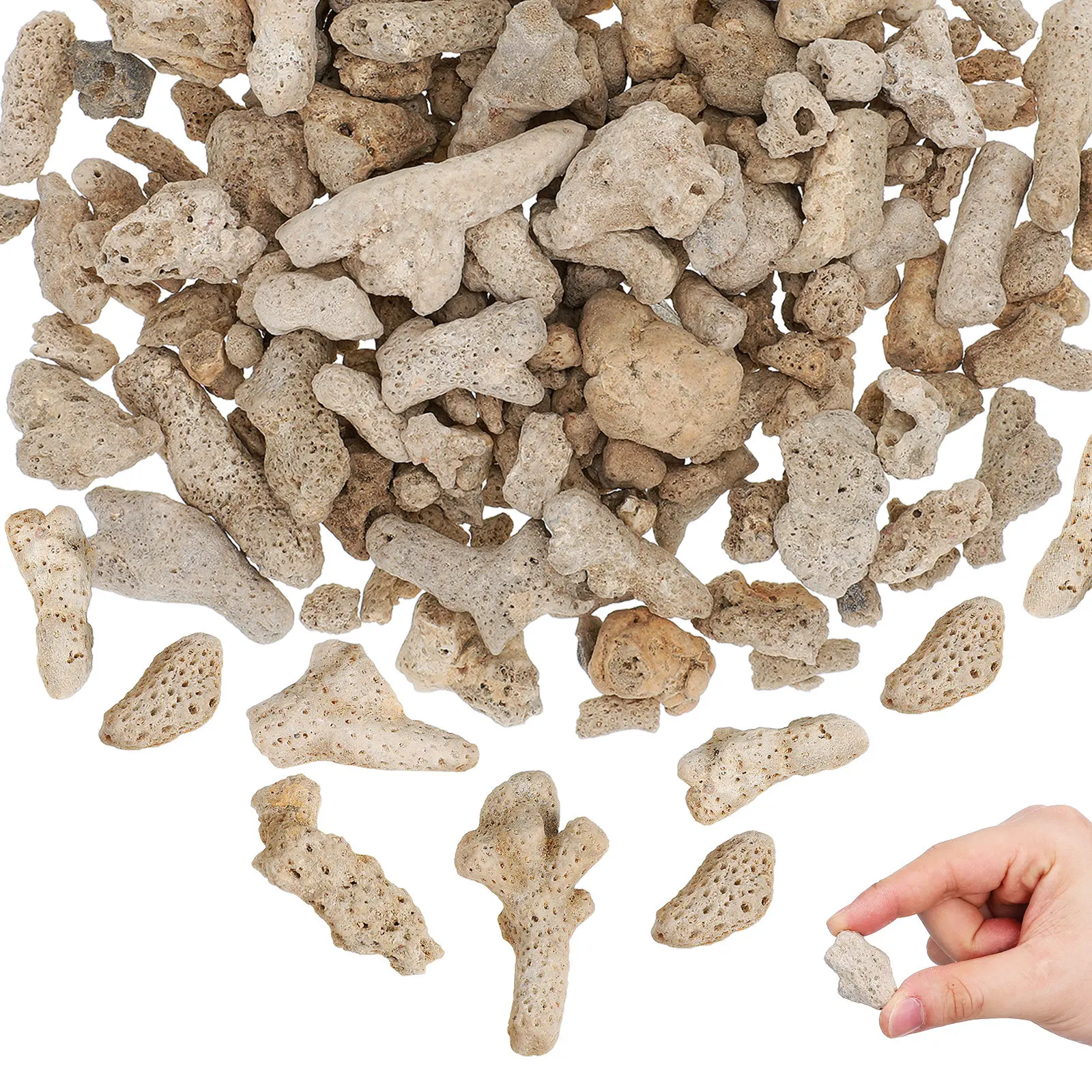 1Set Natural Coral Aquarium Filter Media Fish Tank Substrate Coral Bone Mesh Bag Reusable Pond Filter Water Quality Stabilizer