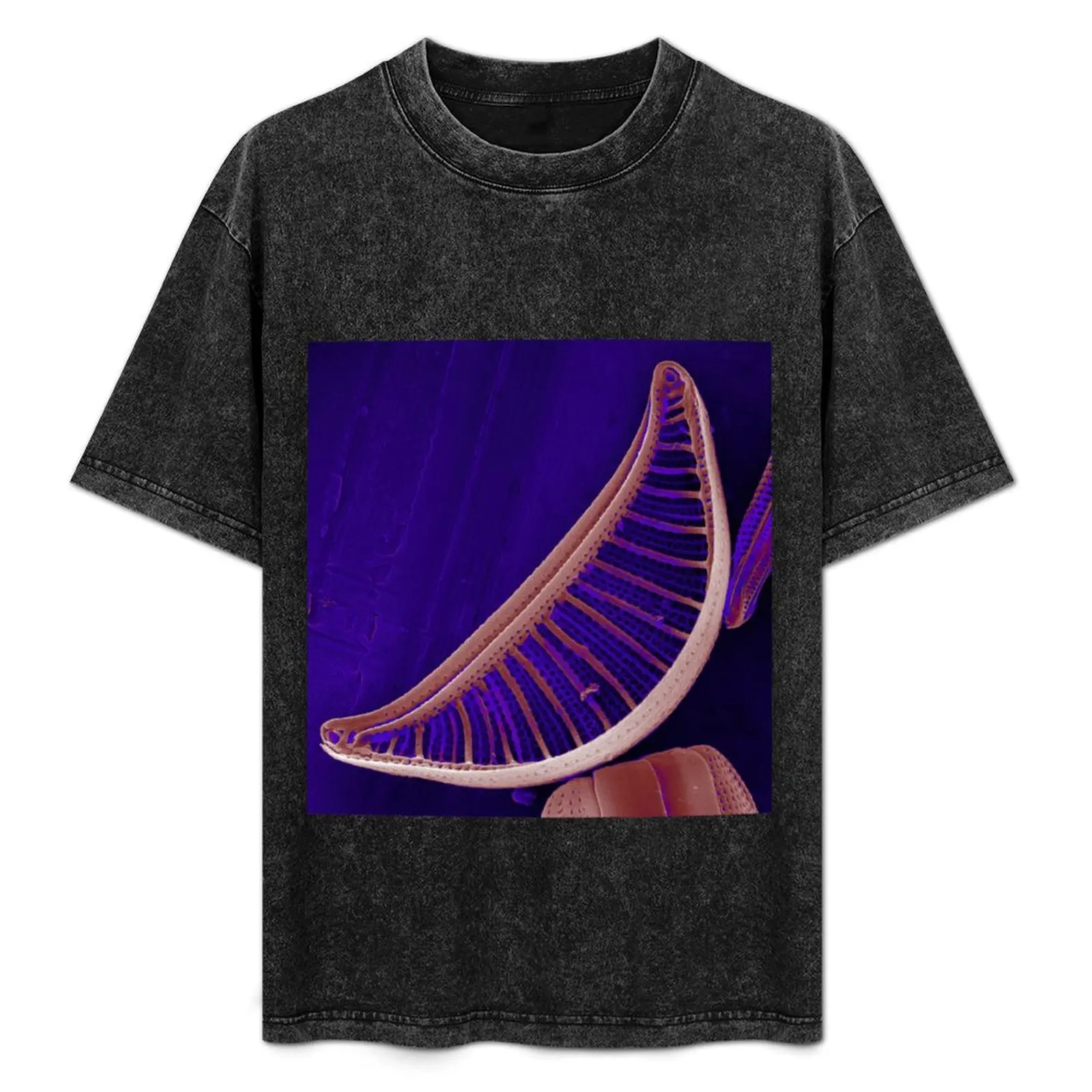 

Epithemia gibberula (diatom) - Glowing Purple T-Shirt new edition oversizeds customs mens clothing